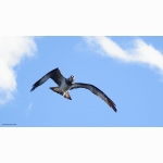 20210402 FA 1 DSC01003.jpg